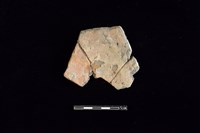 陶片藏品圖，第2張